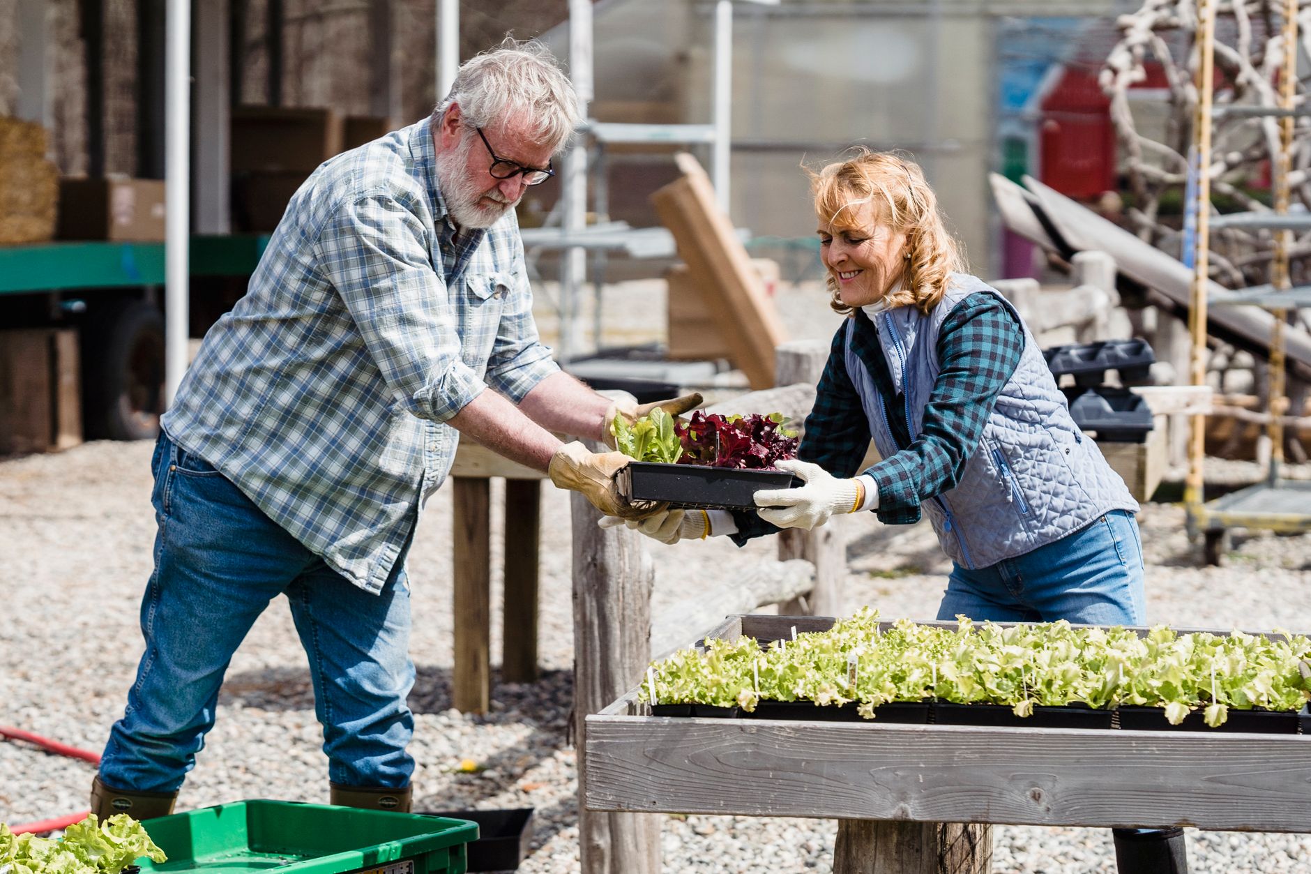 Volunteer gardeners tending raised planting beds at a community demonstration garden